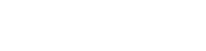Sunbelt Auto Pros